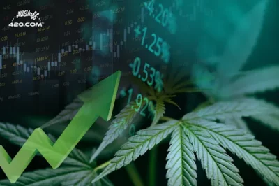 Cannabis Investments in 2022 What You Need To Know