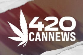 420 Cannews