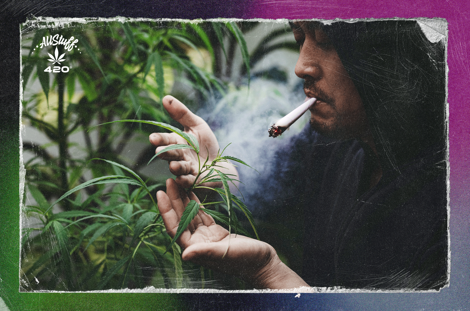 a man smoking cannabis