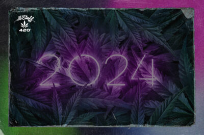 cannabis new year